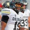 Colorado Buffaloes Footballer Diamond Painting