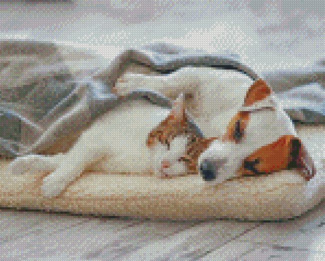 Cute Sleeping Dog And Cat Diamond Painting