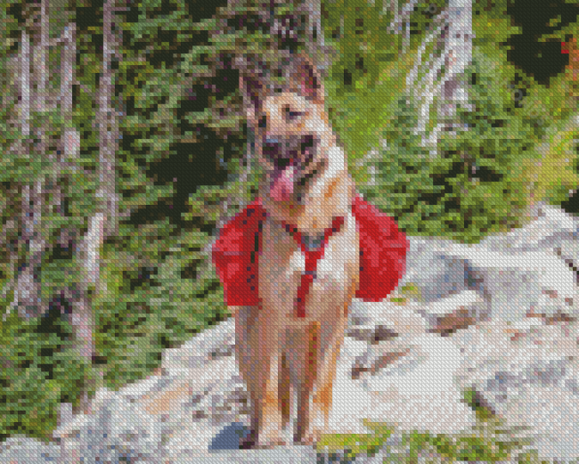 Aesthetic Dog Hiking Diamond Painting