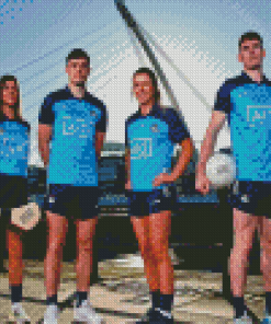 Dublin Gaa Players Diamond Painting