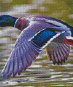 Duck Flying Diamond Painting