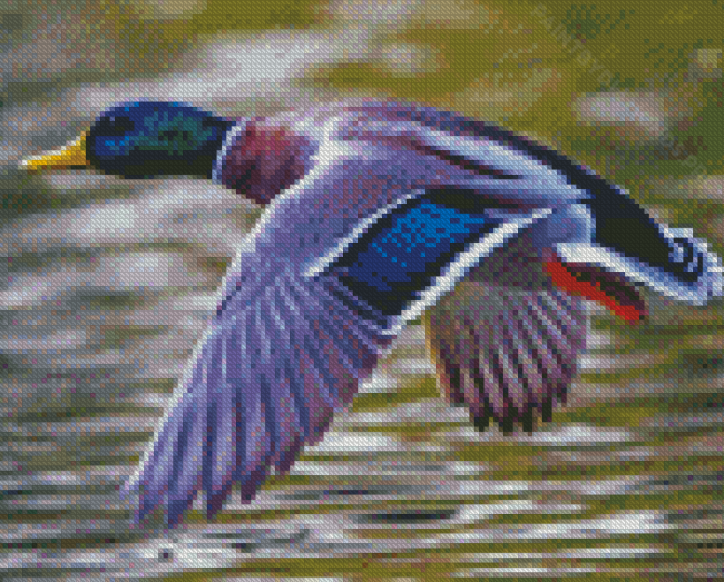 Duck Flying Diamond Painting