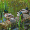 Ducks On A Pond Diamond Painting