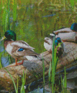 Ducks On A Pond Diamond Painting