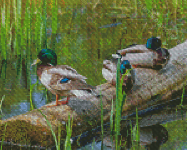 Ducks On A Pond Diamond Painting