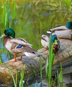 Ducks On A Pond Diamond Painting