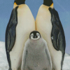 Emperor Penguin Diamond Painting