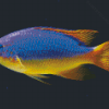 Fiji Blue Devil Damselfish Diamond Painting