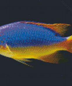 Fiji Blue Devil Damselfish Diamond Painting