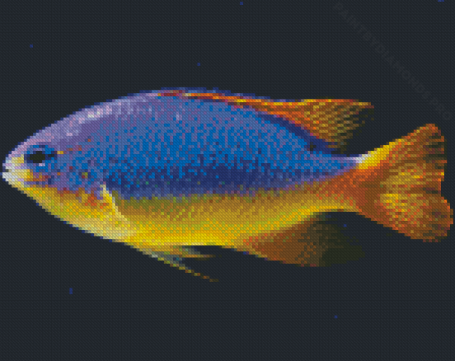 Fiji Blue Devil Damselfish Diamond Painting