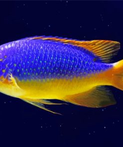 Fiji Blue Devil Damselfish Diamond Painting