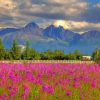 Flower Field With Pioneer Peak View Diamond Painting