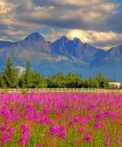 Flower Field With Pioneer Peak View Diamond Painting