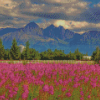 Flower Field With Pioneer Peak View Diamond Painting