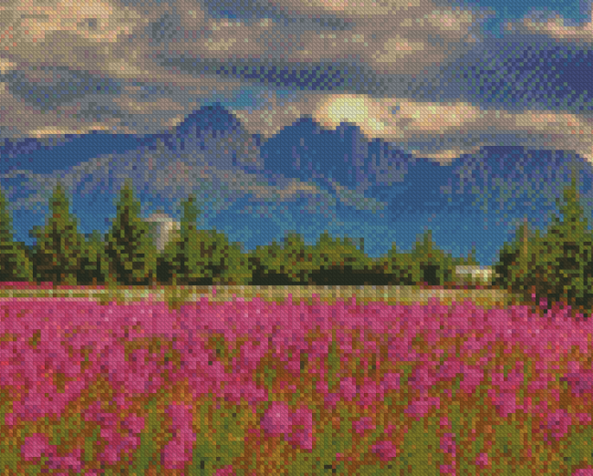 Flower Field With Pioneer Peak View Diamond Painting