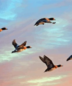 Flying Waterfowls In Sunset Diamond Painting