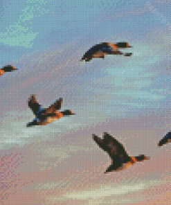 Flying Waterfowls In Sunset Diamond Painting