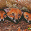 Fox Cubs Diamond Painting