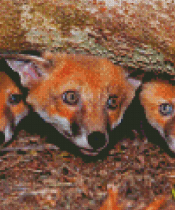 Fox Cubs Diamond Painting