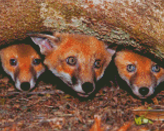 Fox Cubs Diamond Painting