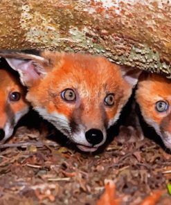 Fox Cubs Diamond Painting