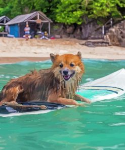 Funny Dog With Surfboard Diamond Painting