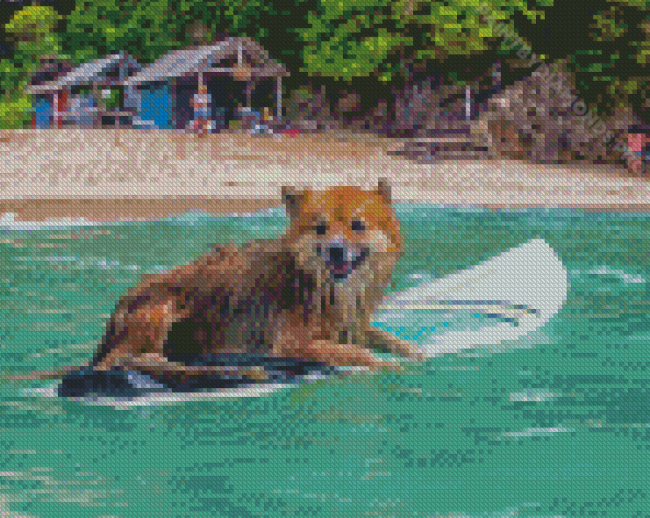 Funny Dog With Surfboard Diamond Painting