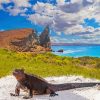 Galapagos Island Art Diamond Painting