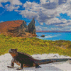 Galapagos Island Art Diamond Painting