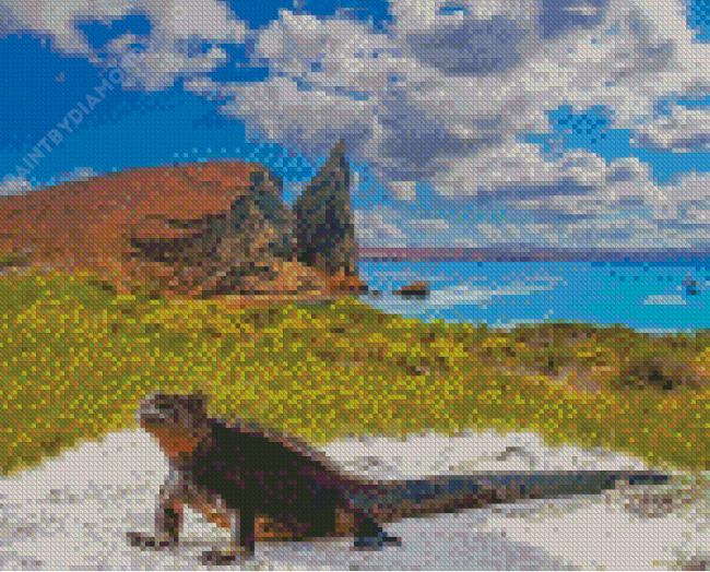 Galapagos Island Art Diamond Painting