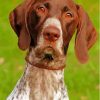 German Shorthair Dog Animal Diamond Painting