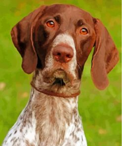 German Shorthair Dog Animal Diamond Painting