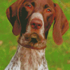 German Shorthair Dog Animal Diamond Painting