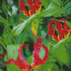 Gloriosa Lilies Plants Diamond Painting