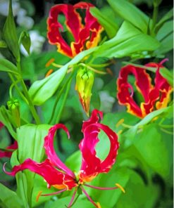 Gloriosa Lilies Plants Diamond Painting