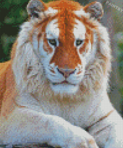 Golden Tiger Diamond Painting