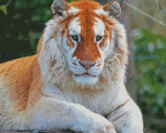 Golden Tiger Diamond Painting