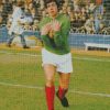 Gordon Banks Professional Goalkeeper Diamond Painting