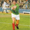 Gordon Banks Professional Goalkeeper Diamond Painting