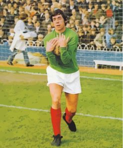 Gordon Banks Professional Goalkeeper Diamond Painting