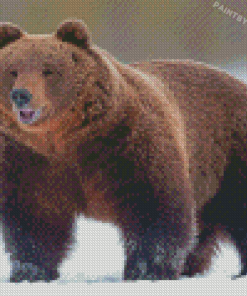 Happy Bear In Snow Diamond Painting