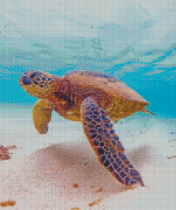 Hawaii Turtle Diamond Painting