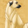 Illustration Anatolian Shepherd Dog Diamond Painting