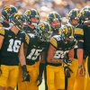 Iowa Hawkeyes Team Diamond Painting