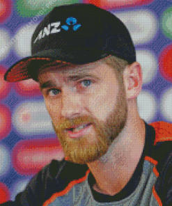 Kane Williamson Diamond Painting