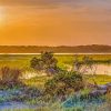 Marsh Florida Nature Landscape Diamond Painting