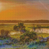 Marsh Florida Nature Landscape Diamond Painting