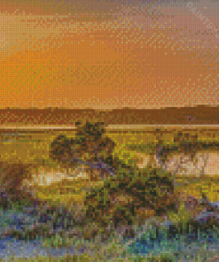 Marsh Florida Nature Landscape Diamond Painting