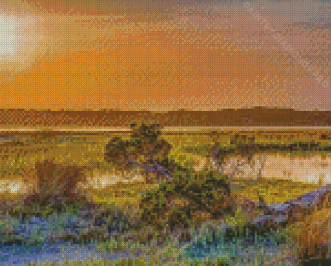 Marsh Florida Nature Landscape Diamond Painting