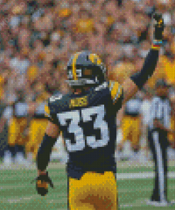 Moss Iowa Hawkeyes Player Diamond Painting